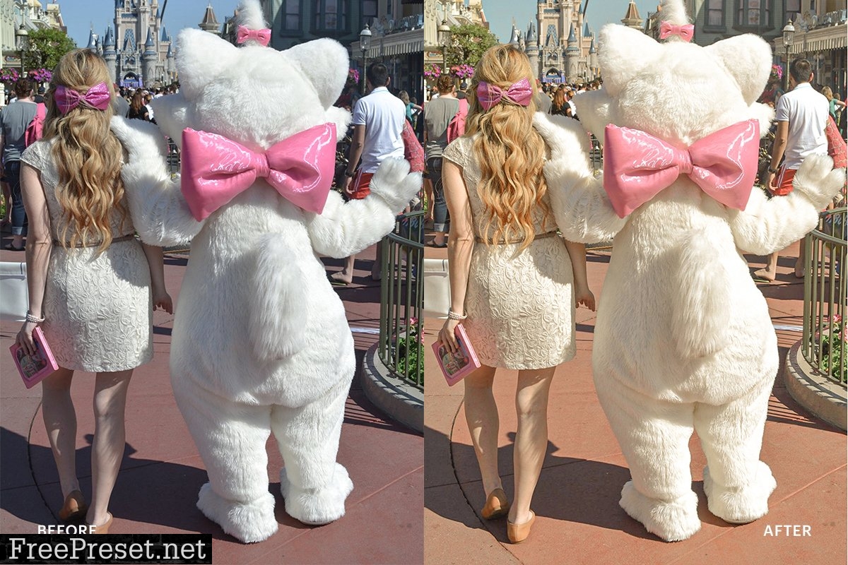 Lightroom Preset-Disneyland Princess 4973030