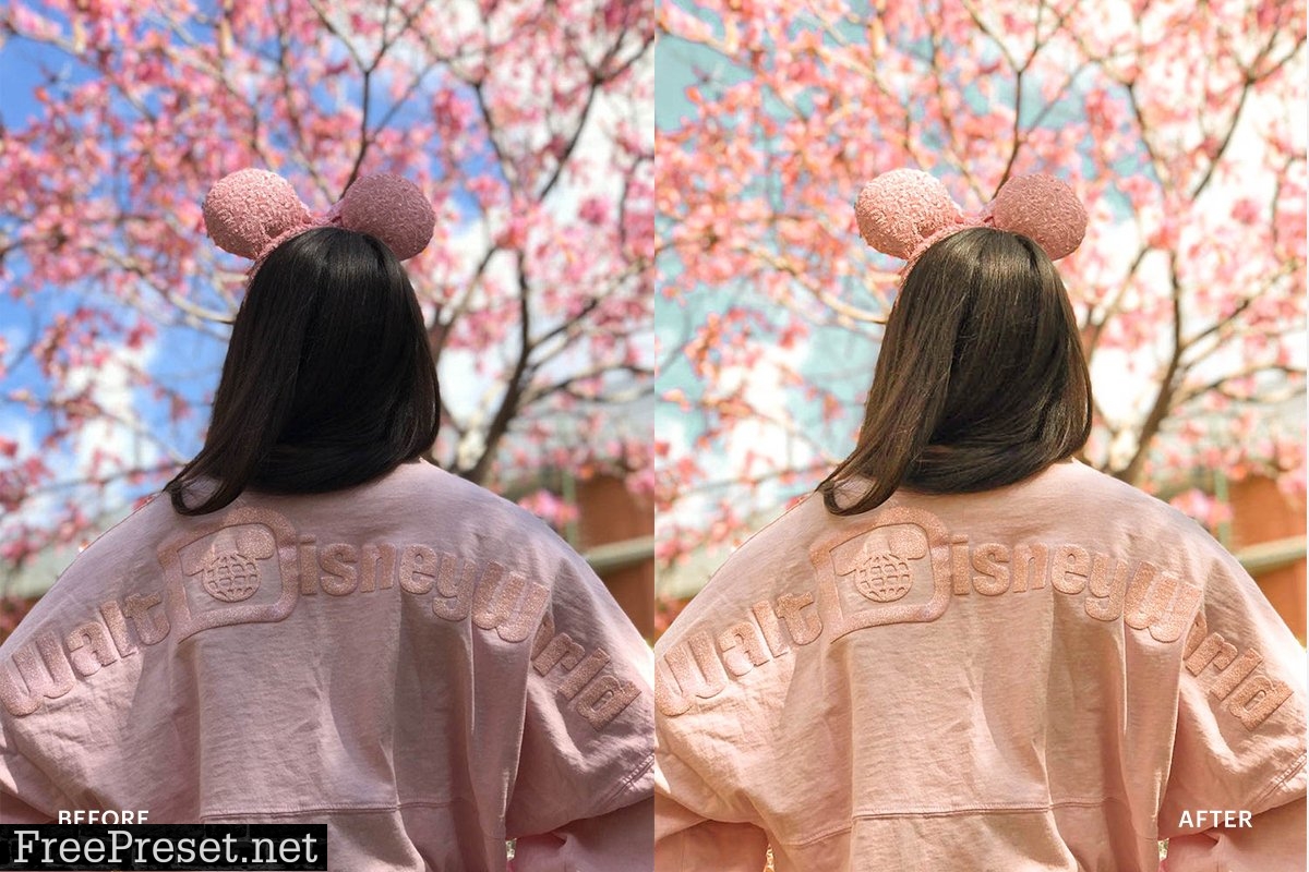 Lightroom Preset-Disneyland Princess 4973030