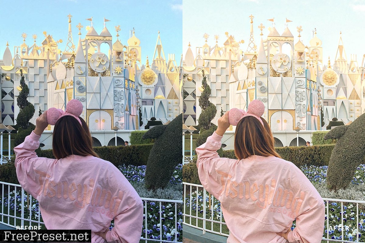 Lightroom Preset-Disneyland Princess 4973030