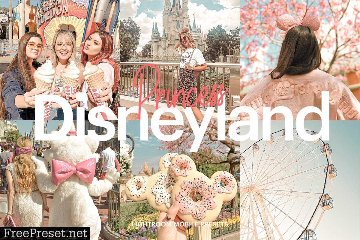 Lightroom Preset-Disneyland Princess 4973030