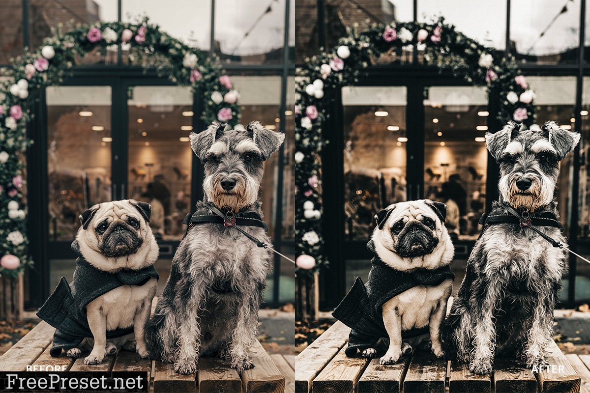 Lightroom Preset-Vibrant Black 4976199