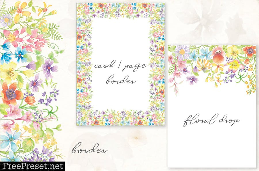 Meadow Flowers: Watercolor Collection