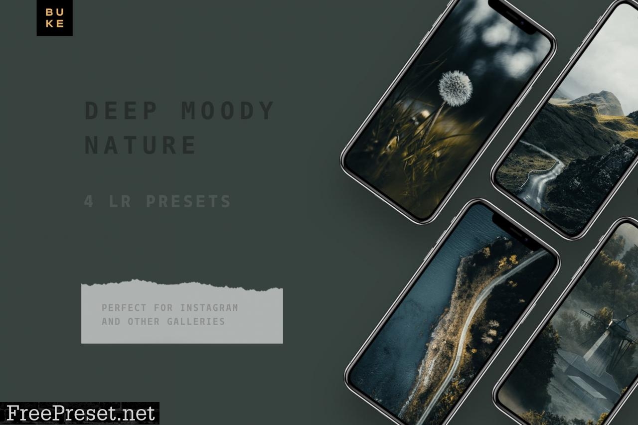 Moody Bay – 4 Pro Lightroom Presets 4870966