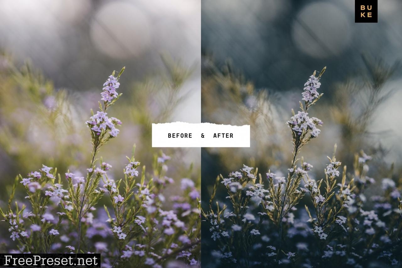 Moody Bay – 4 Pro Lightroom Presets 4870966