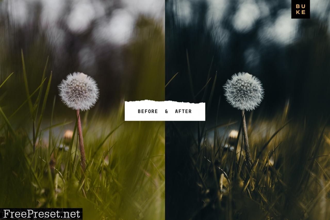 Moody Bay – 4 Pro Lightroom Presets 4870966