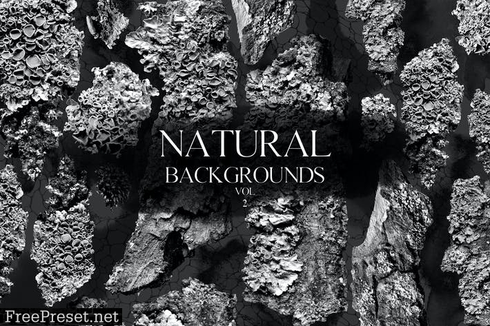 Natural Backgrounds Vol.2 ZW7KT2K