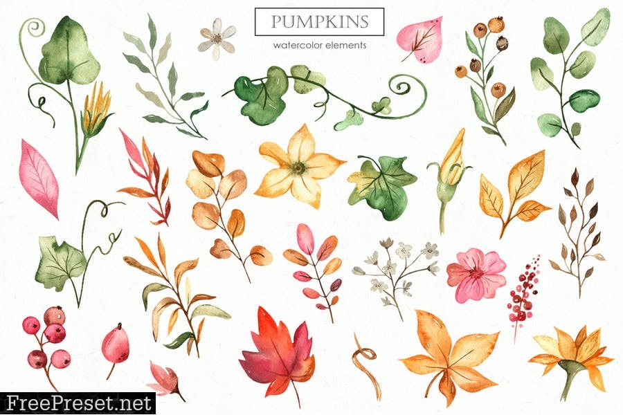 Watercolor Pumpkins. Cards, frames, patterns 8D8YLZW