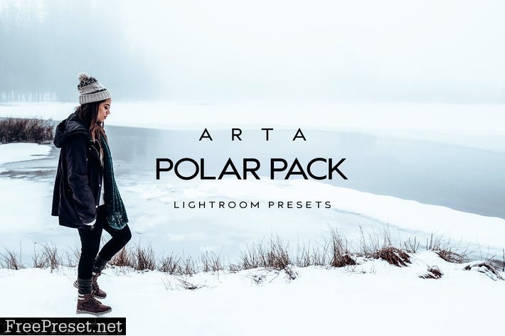 ARTA Preset Polar Pack For Mobile and Desktop Ligh