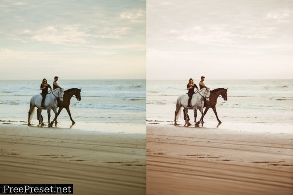 Beach Lovers Desktop Lightroom Presets