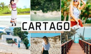 Cartago Mobile & Desktop Lightroom Presets