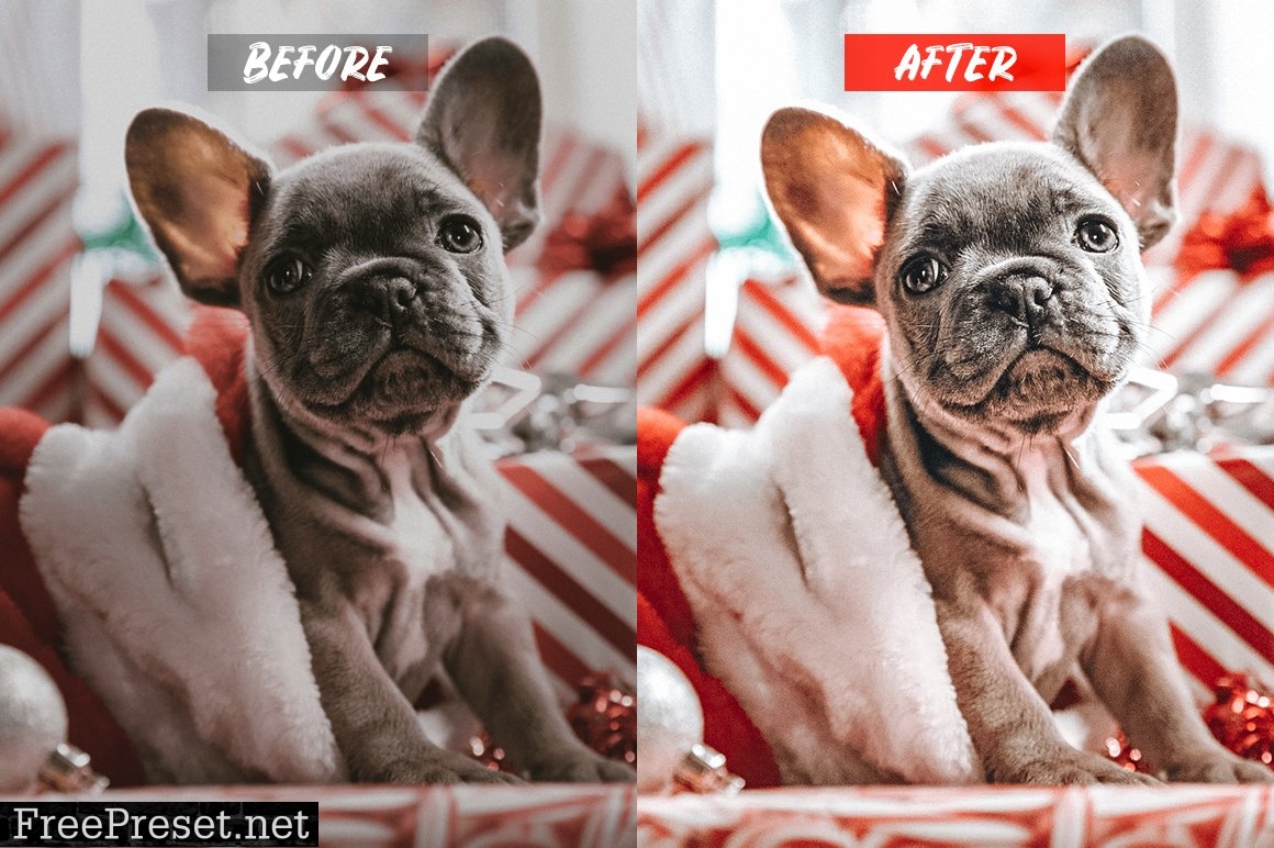 Celebration Lightroom Presets 5202583