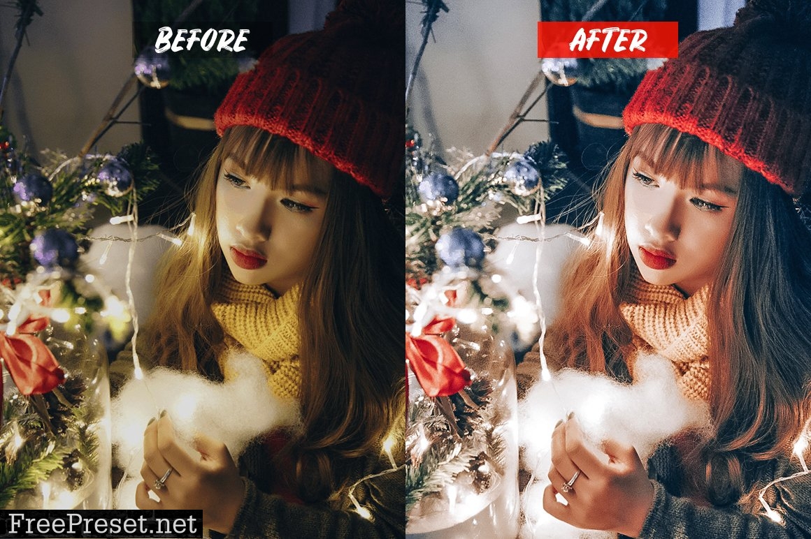 Celebration Lightroom Presets 5202583