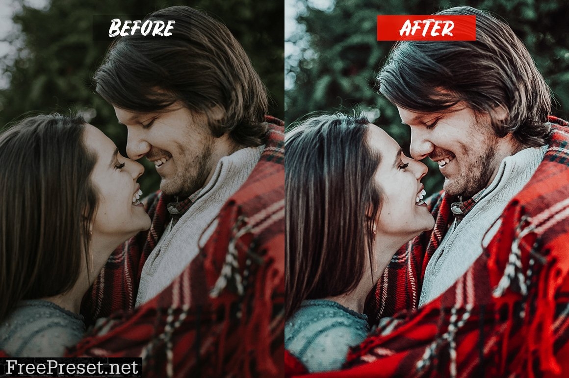 Celebration Lightroom Presets 5202583