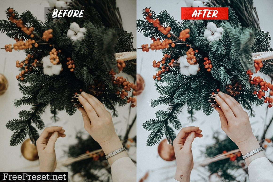 Celebration Lightroom Presets 5202583