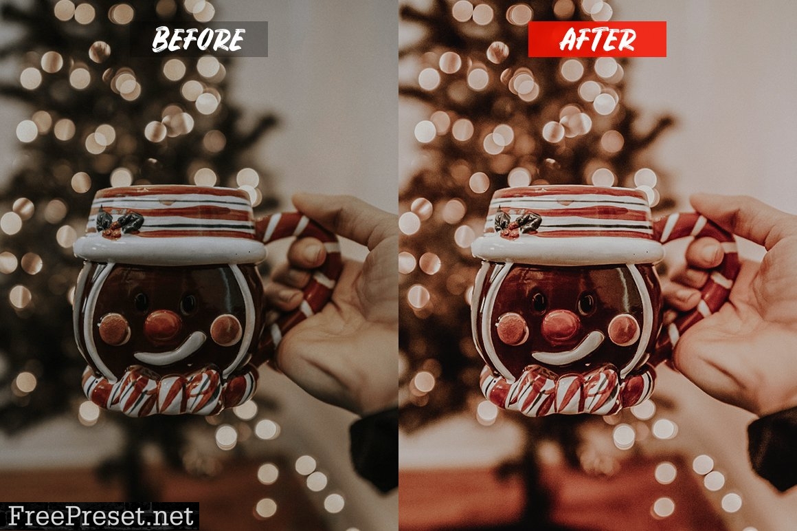 Celebration Lightroom Presets 5202583