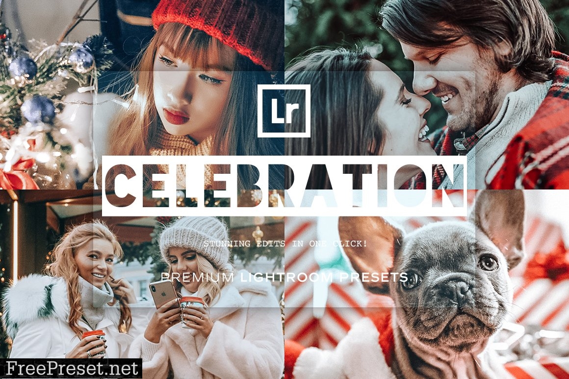 Celebration Lightroom Presets 5202583