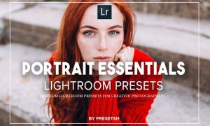 Essential Portraits lightroom presets