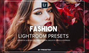 Fashion Lightroom Presets 5125195