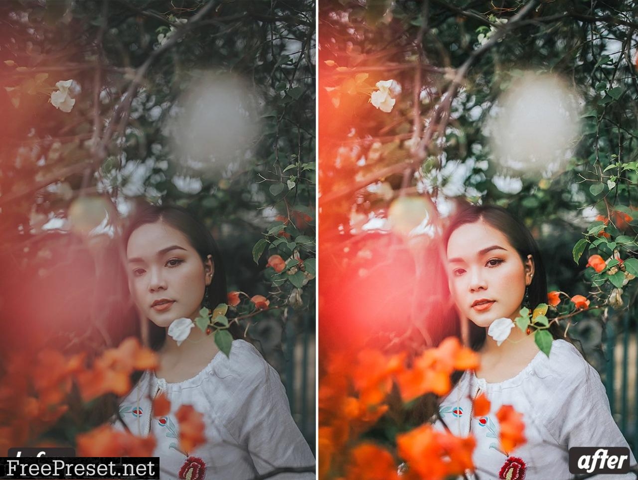 Film Look lightroom presets 5124699