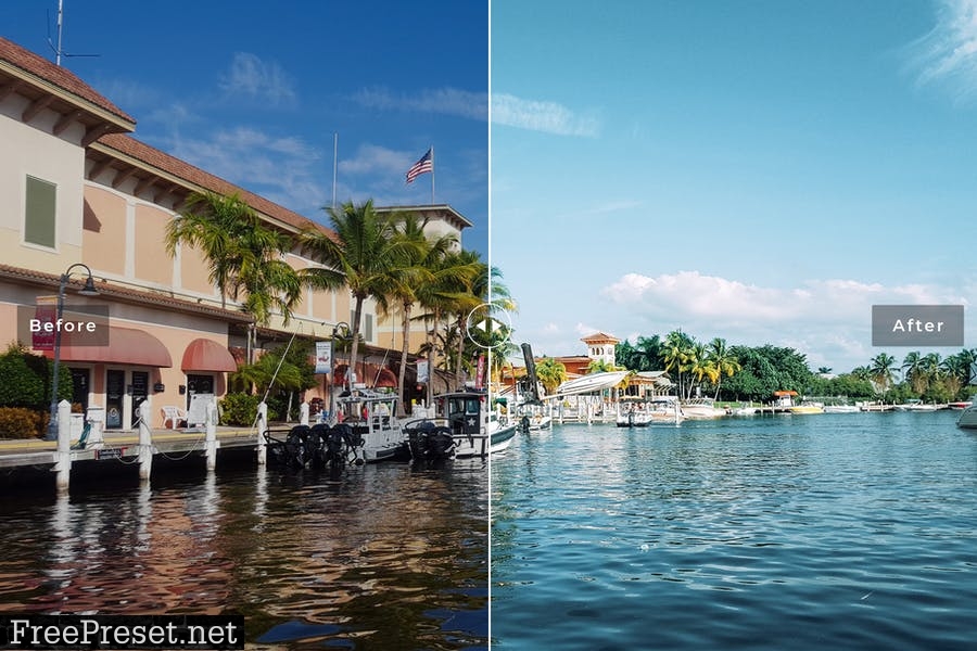 Florida Mobile & Desktop Lightroom Presets