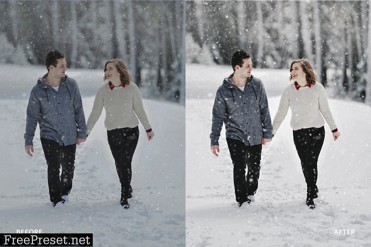 Lightroom Preset-Snow Winter 4976169