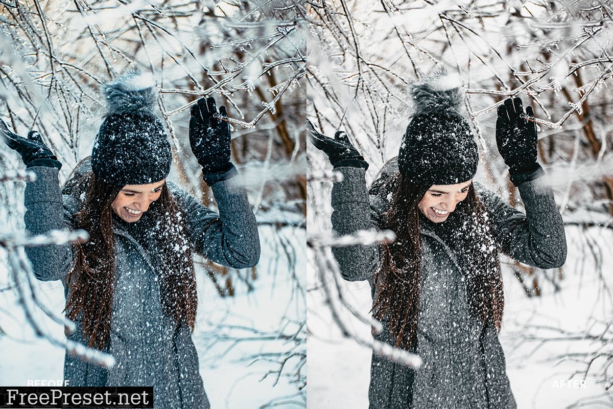 Lightroom Preset-Snow Winter 4976169