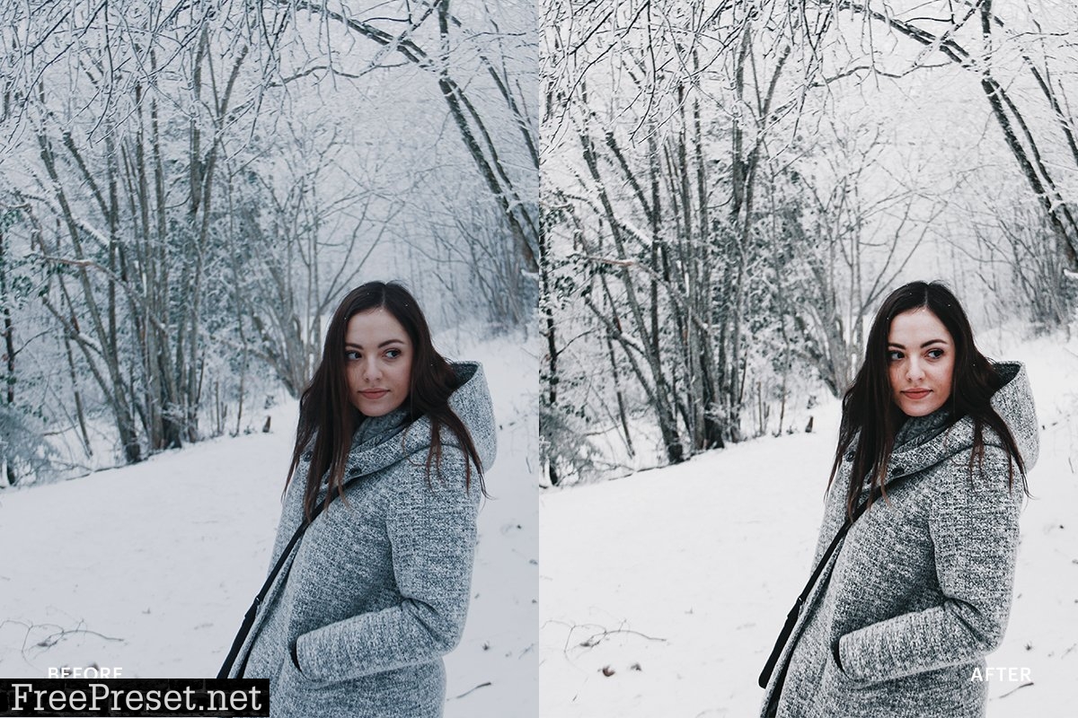 Lightroom Preset-Snow Winter 4976169