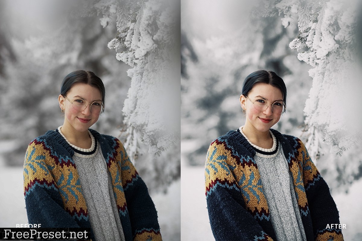 Lightroom Preset-Snow Winter 4976169