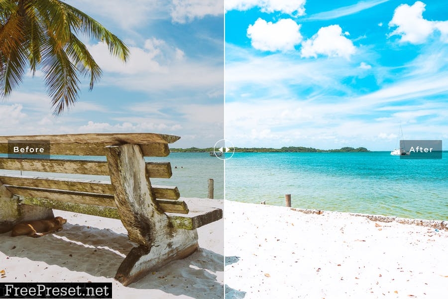 Natal Mobile & Desktop Lightroom Presets