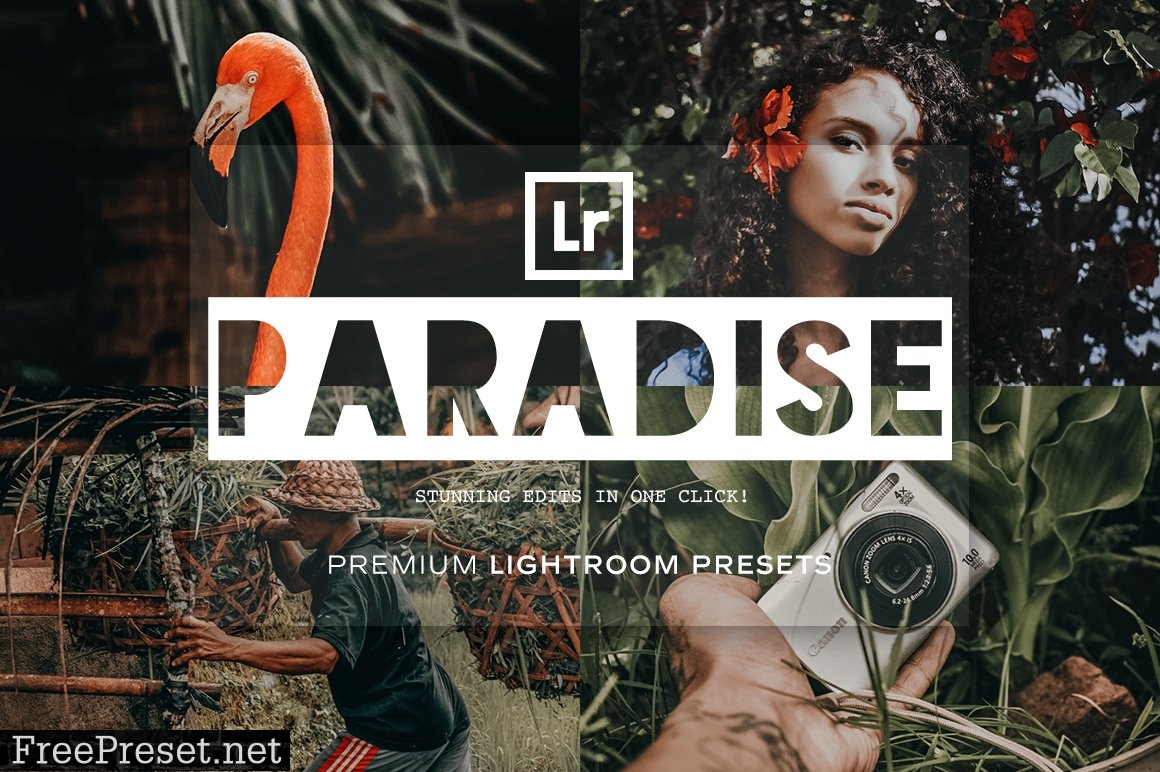 Paradise - Lightroom Presets 5215514
