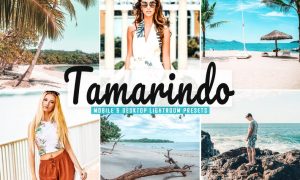 Tamarindo Mobile & Desktop Lightroom Presets