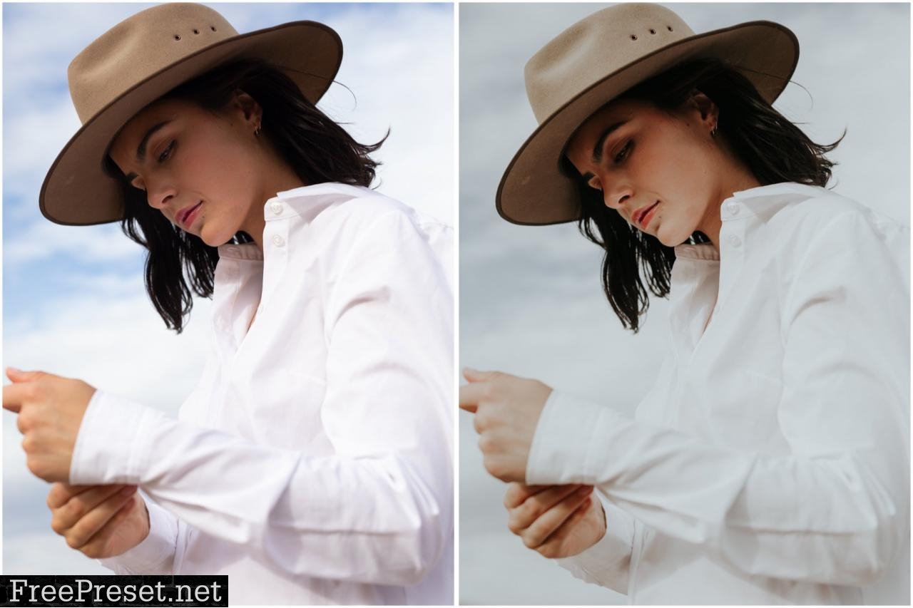 White Gold Lightroom Desktop Preset 5033142