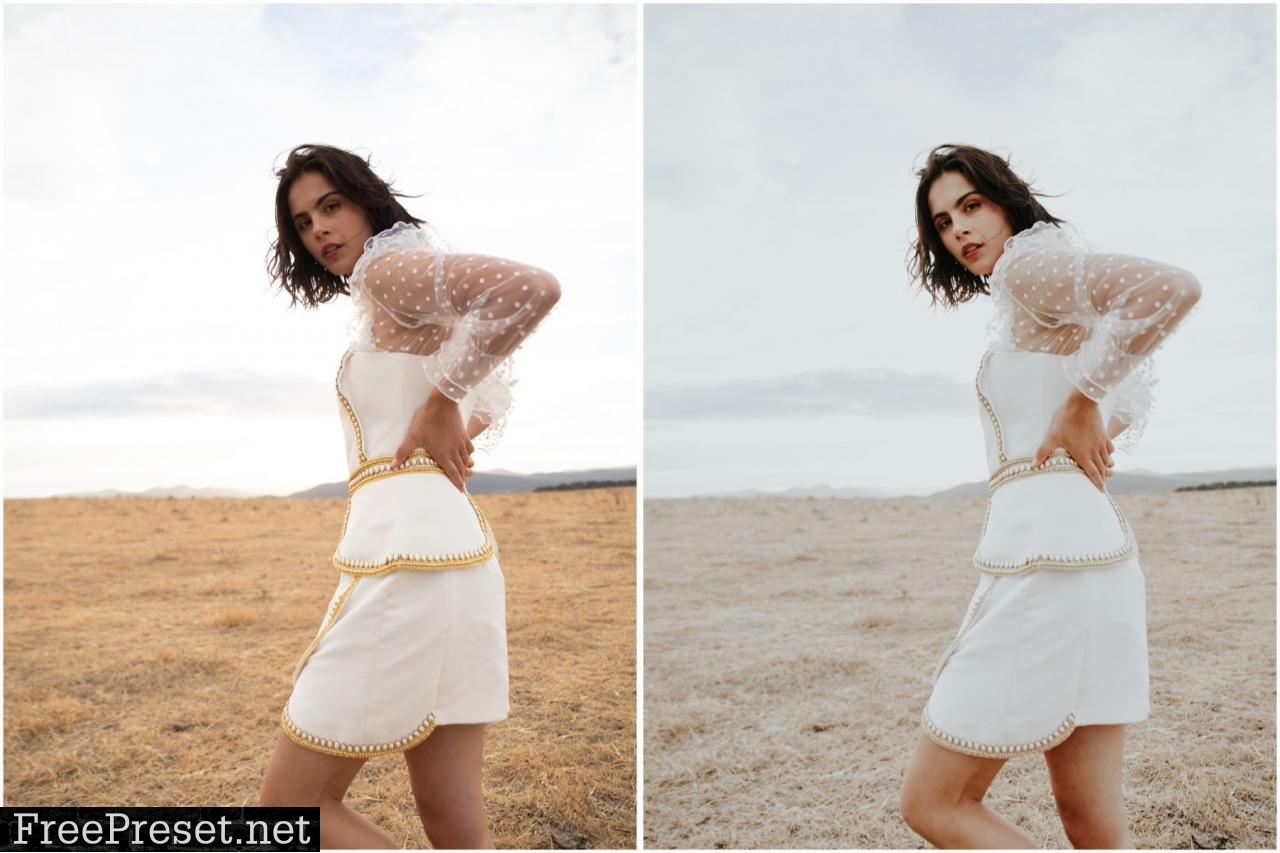 White Gold Lightroom Desktop Preset 5033142