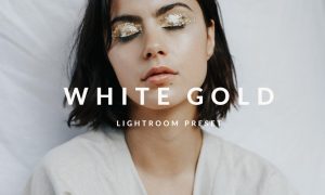 White Gold Lightroom Desktop Preset 5033142