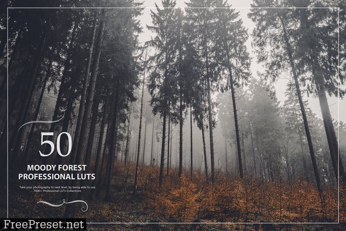 50 Moody Forest LUTs (Look Up Tables)