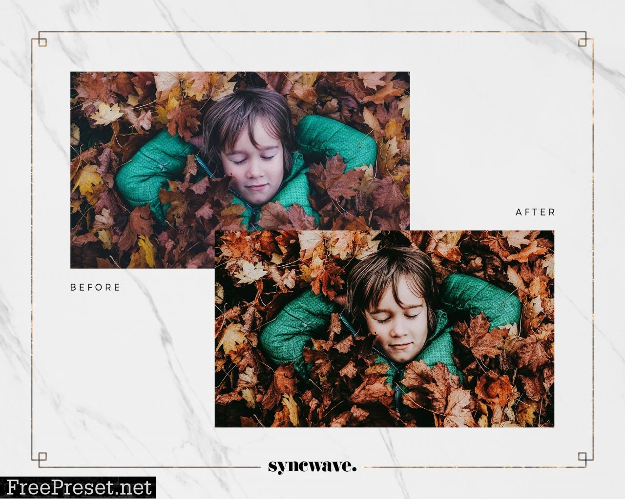 Autumn Feels Lightroom Presets 5251178