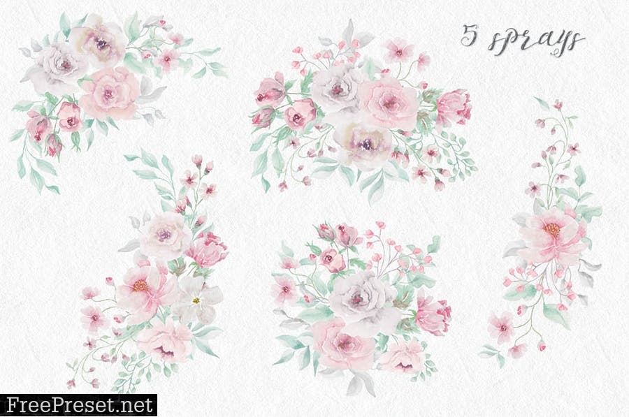 Blush and Grey Watercolor Design Set