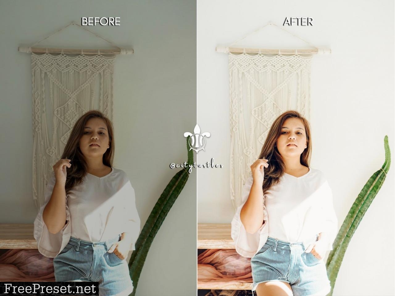 BRIGHT HOME Indoor Mobile Presets 4957852