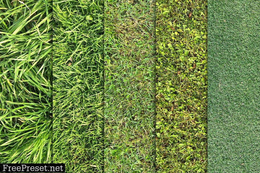 Grass Textures x10 Vol 4 PYMGFM8