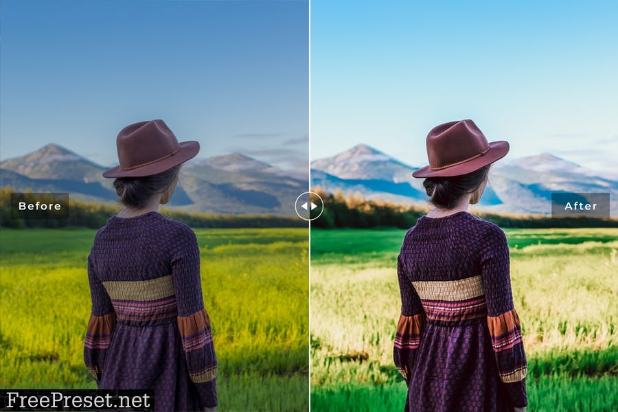 Grindelwald Mobile & Desktop Lightroom Presets