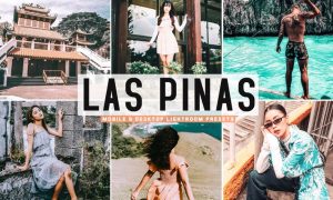 Las Pinas Mobile & Desktop Lightroom Presets