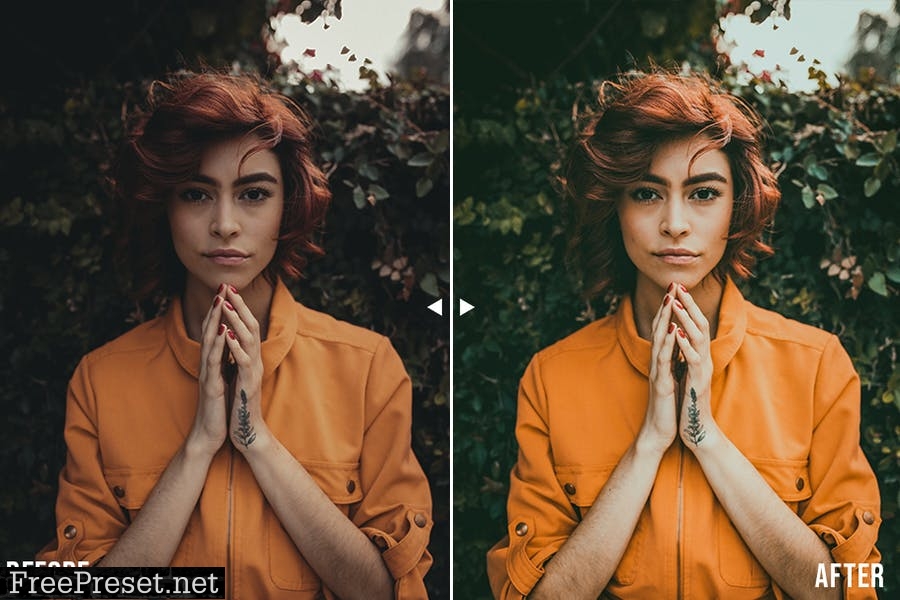 Moody Lightroom Presets EN8JCR3