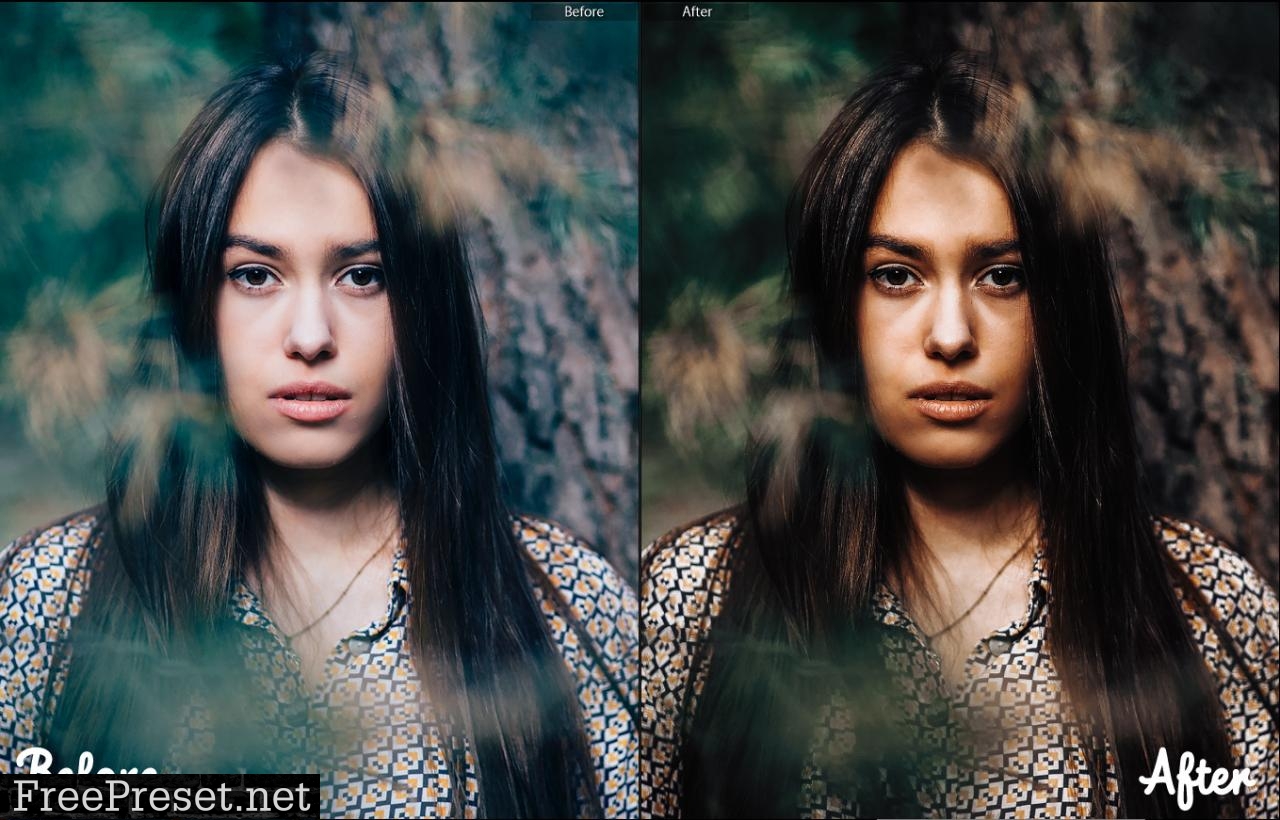 Outdoor Lightroom Presets 28024379