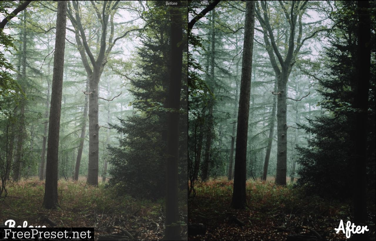 Outdoor Lightroom Presets 28024379