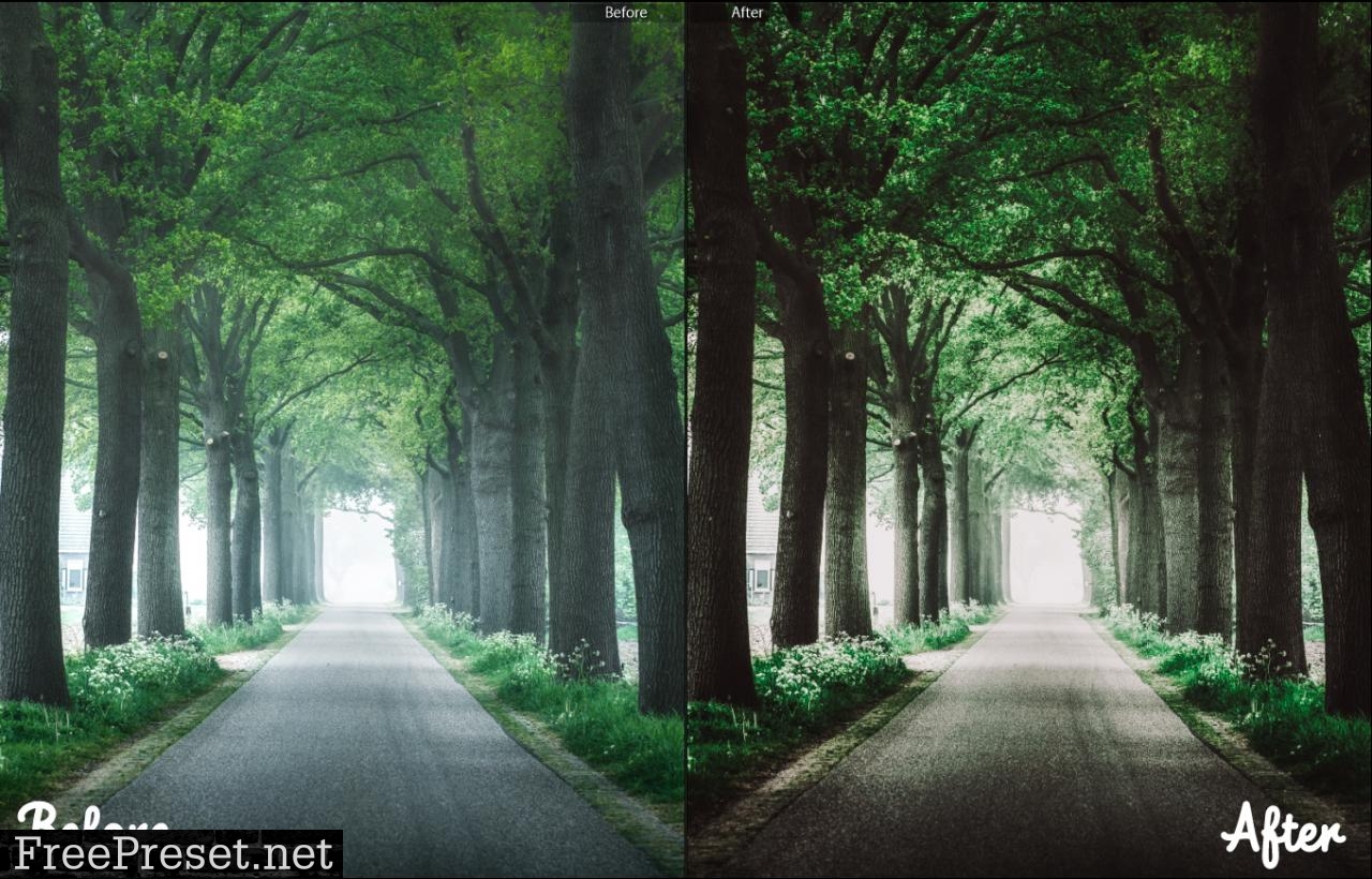 Outdoor Lightroom Presets 28024379