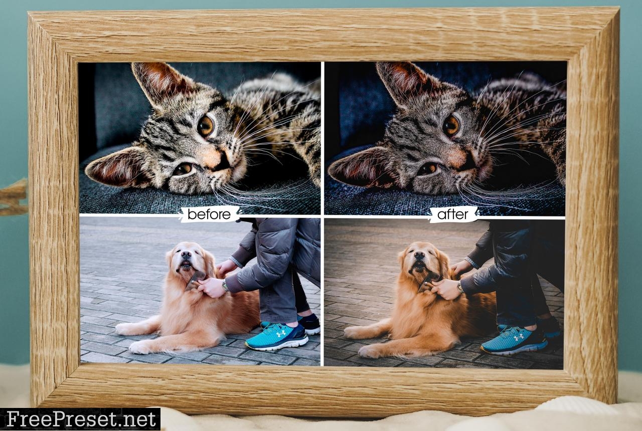 Pet Lovers Lightroom Presets 5192321