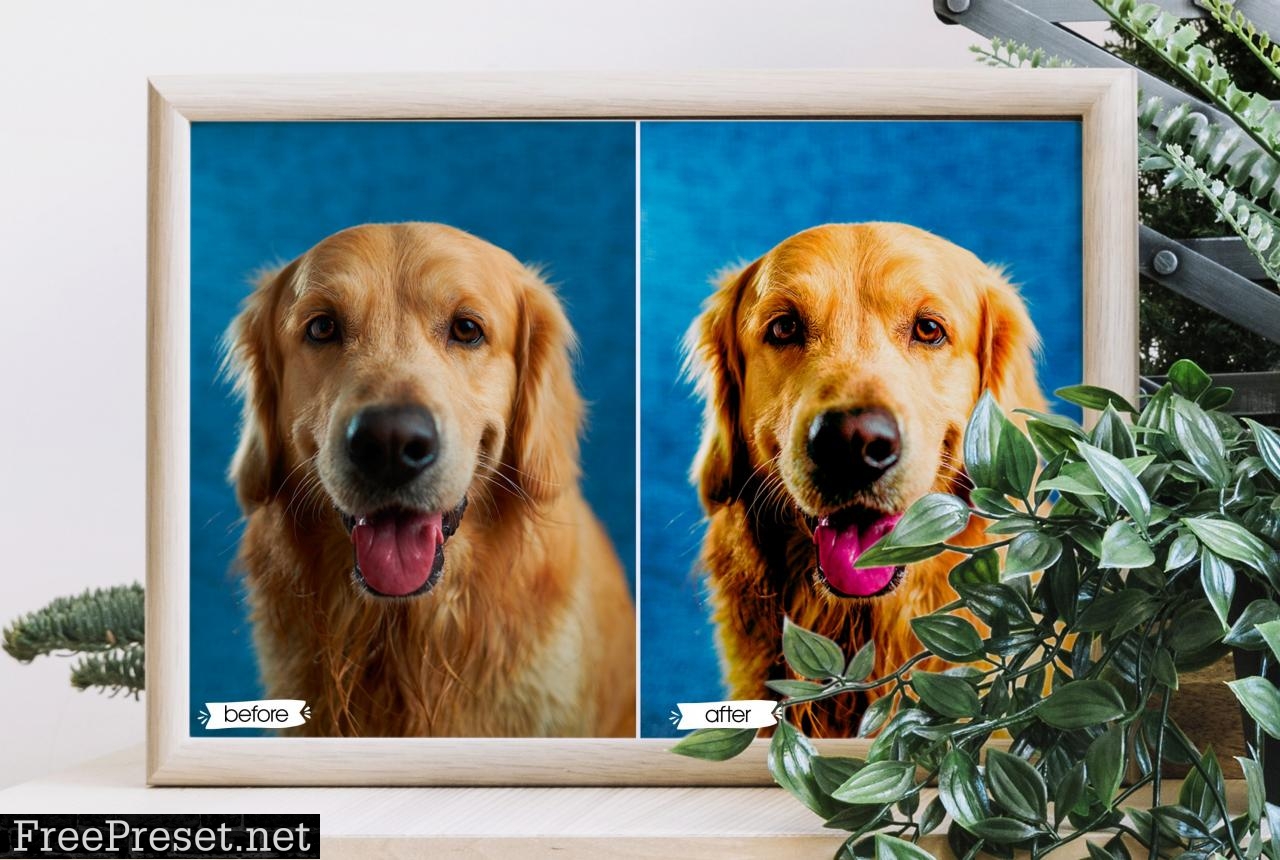 Pet Lovers Lightroom Presets 5192321