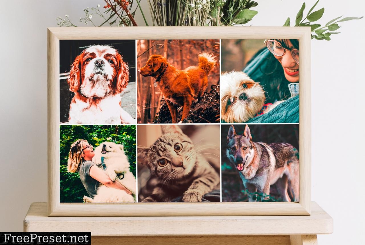 Pet Lovers Lightroom Presets 5192321