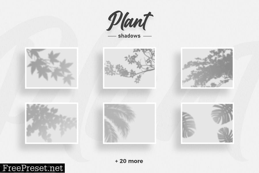 Plant Shadow Overlays VEVZWFF