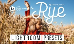Rye Lightroom & ACR Presets
